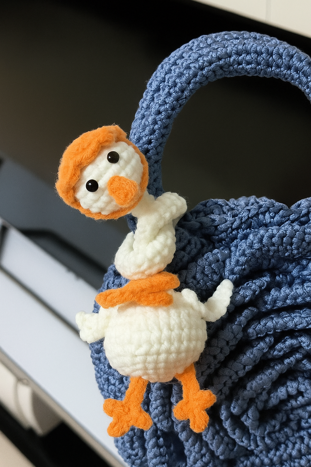 Long-neck Duck