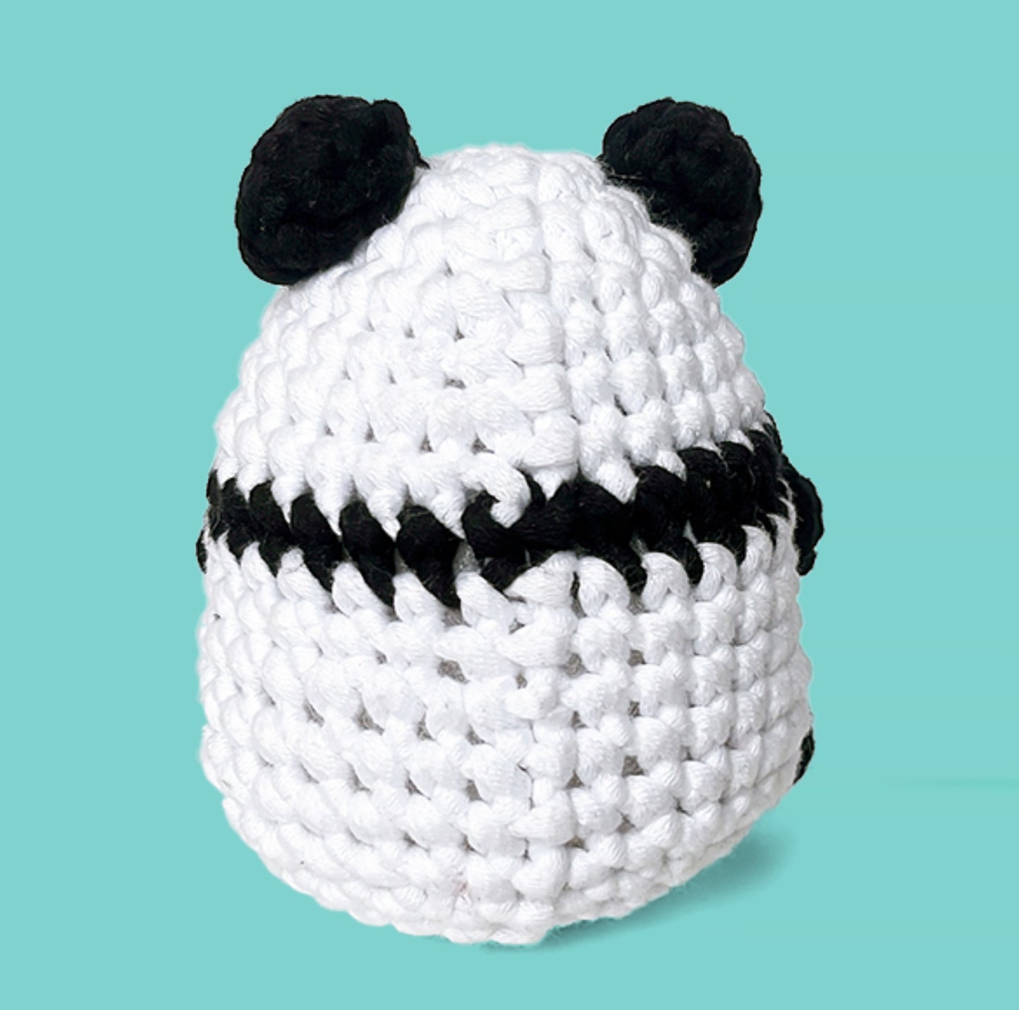 Crochet Kit for Beginners, 2 PCS Panda Crochet Animal Kit for Adults Kids-Everything Included