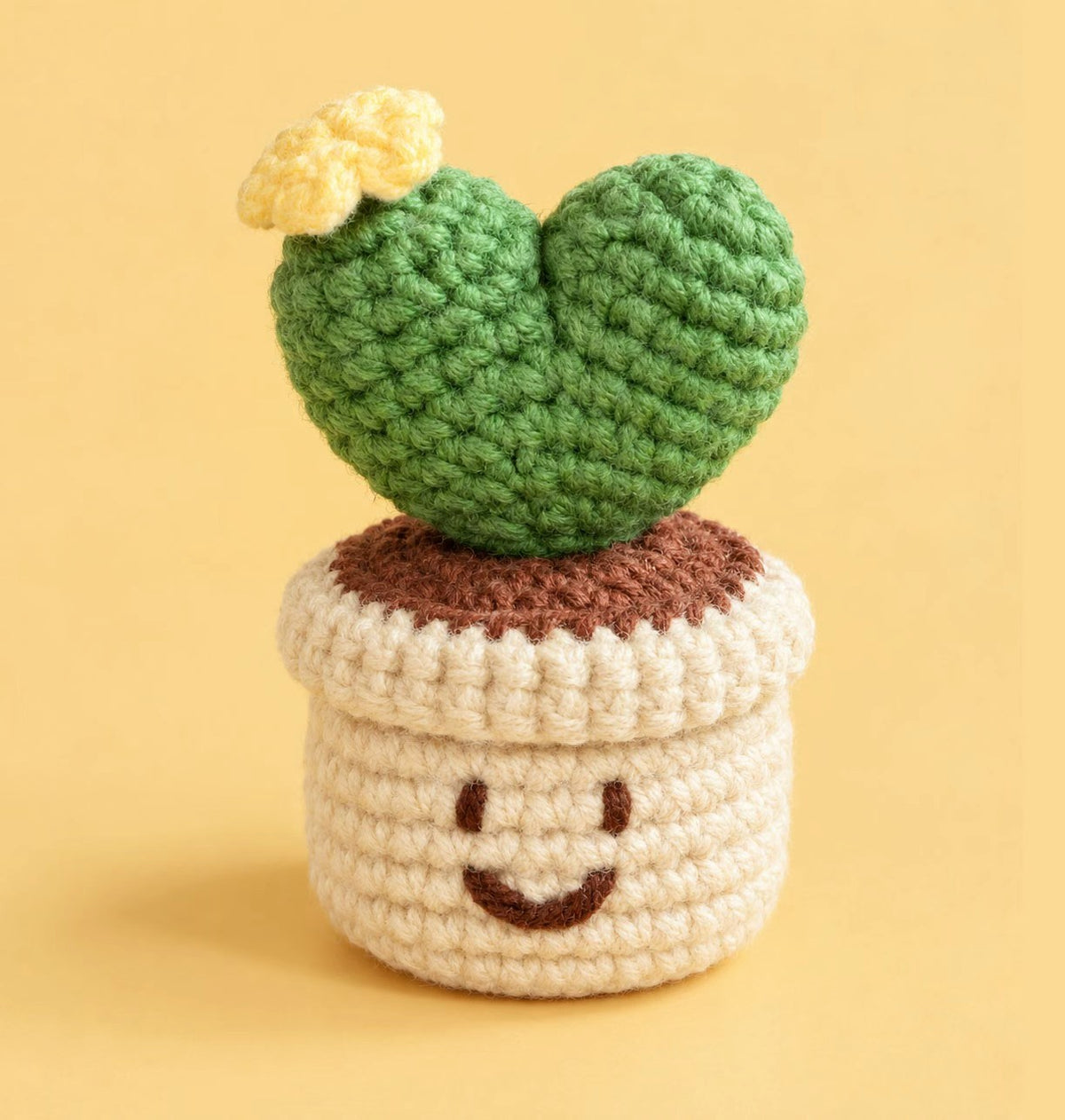 Happy Heart Cactus