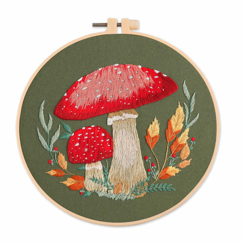 4 pcs of Embroidery Starter kit with Patterns and Instructions