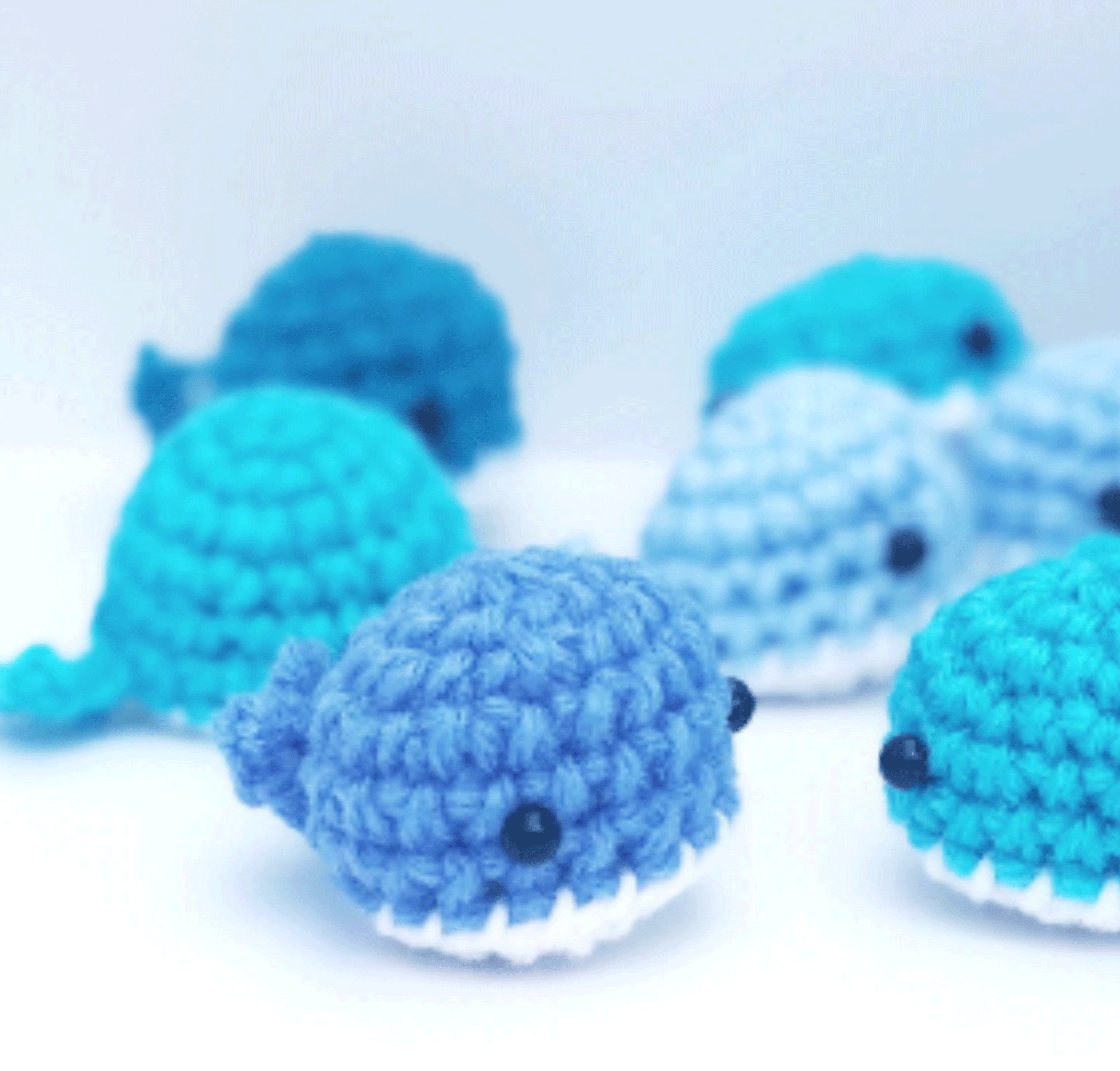 Mini Whale Freeasyfar